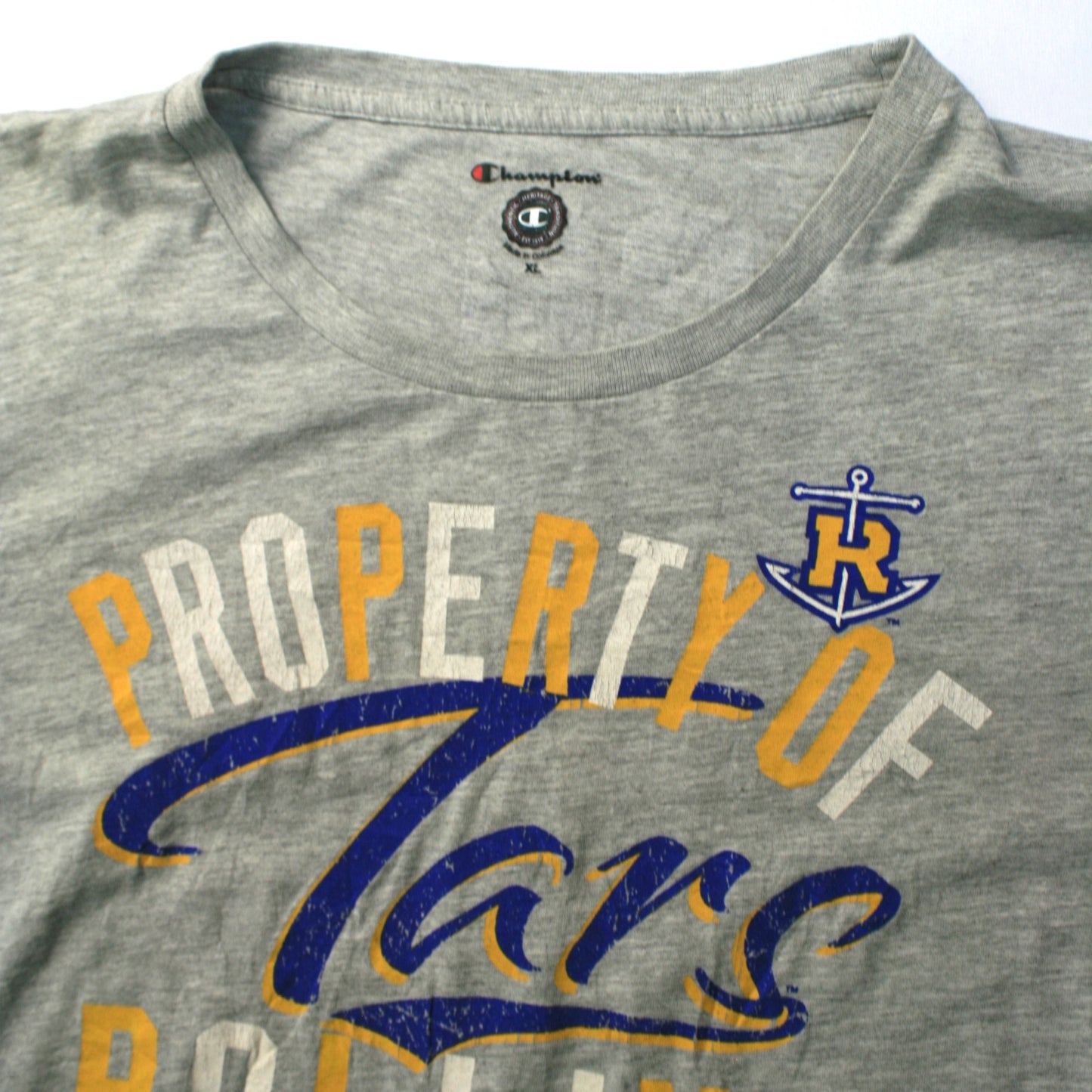 CHAMPION TARS ROLLINS T-SHIRT - GREY - XL