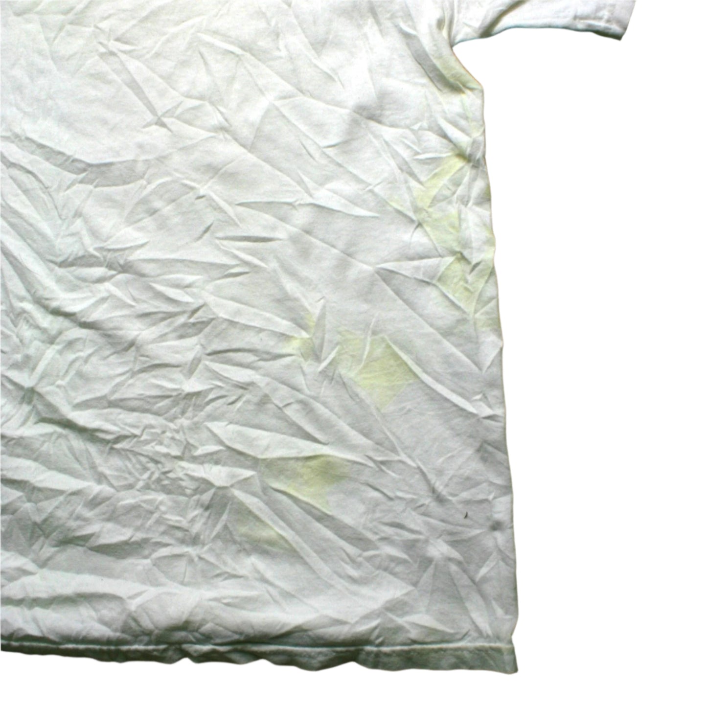 CHAMPION STANFORD UNIVERSITY T-SHIRT - WHITE - L